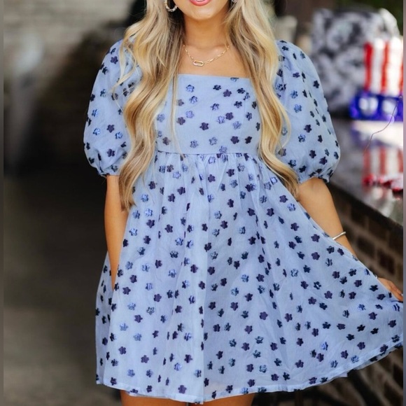 TCEC Dresses & Skirts - TCEC Light Blue Navy Dainty Coquette Puff Sleeve Floral Lined Mini Dress Size S